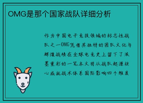 OMG是那个国家战队详细分析