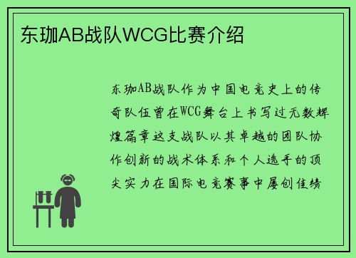 东珈AB战队WCG比赛介绍